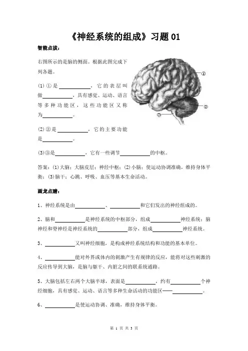 初中生物优质实用文档精选——《神经系统的组成》习题01