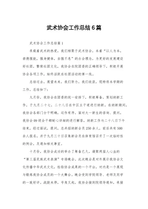 武术协会工作总结6篇