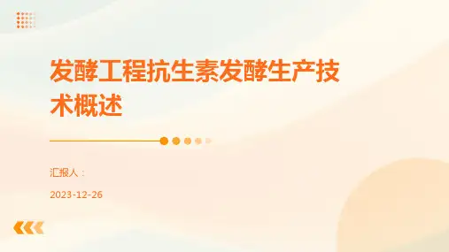 发酵工程抗生素发酵生产技术概述