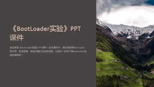 《BootLoader实验》课件