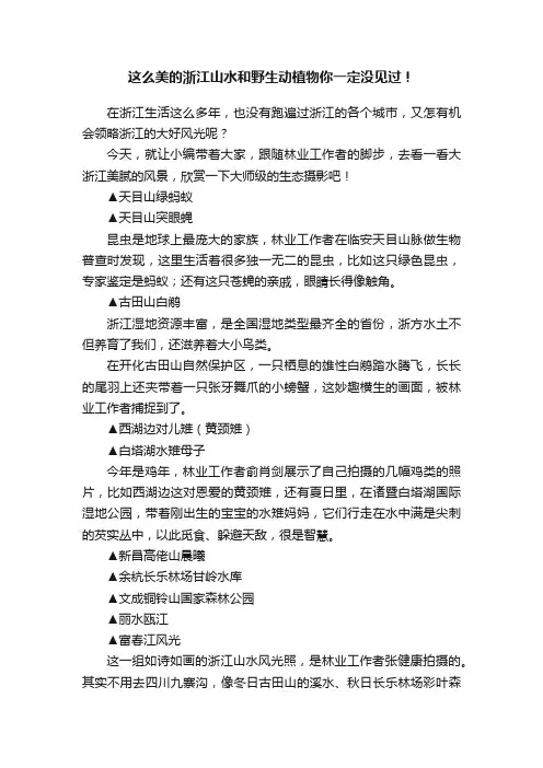 这么美的浙江山水和野生动植物你一定没见过！