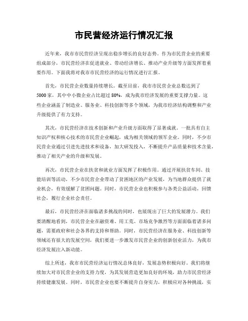 市民营经济运行情况汇报