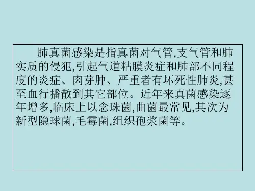 肺部真菌感染的CT表现ppt课件