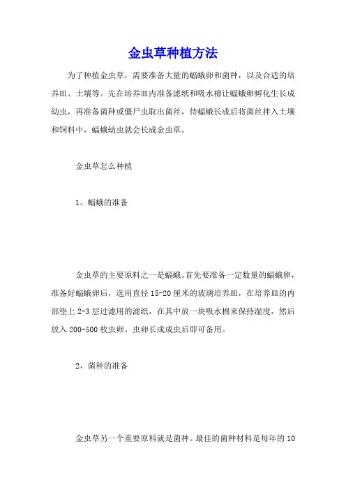 金虫草种植方法