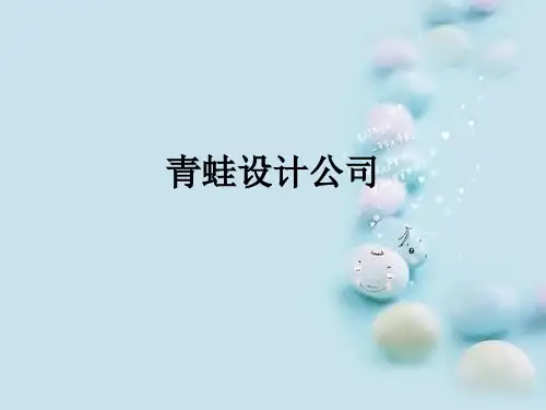 青蛙设计公司PPT课件