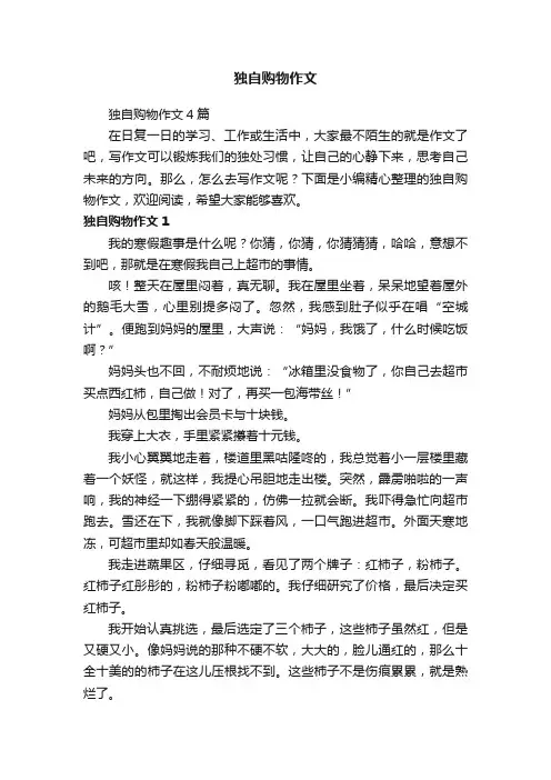 独自购物作文