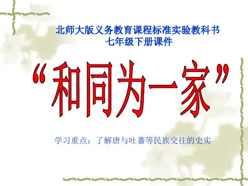 第5课《和同为一家》37页PPT