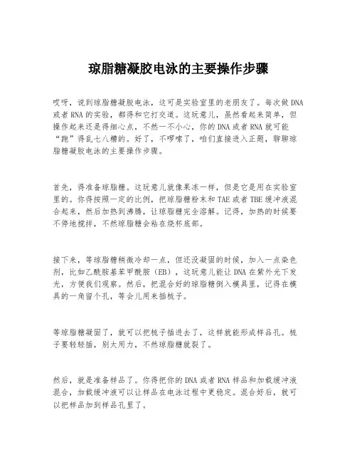 琼脂糖凝胶电泳的主要操作步骤