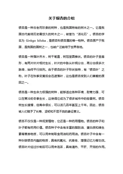 关于银杏的介绍