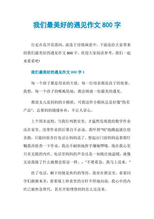 我们最美好的遇见作文800字