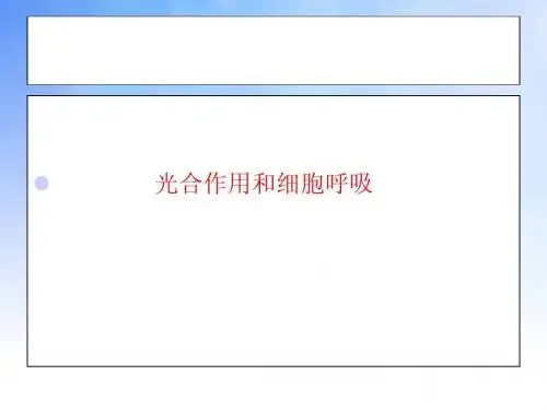 光合作用与呼吸作用综合应用ppt课件演示文稿