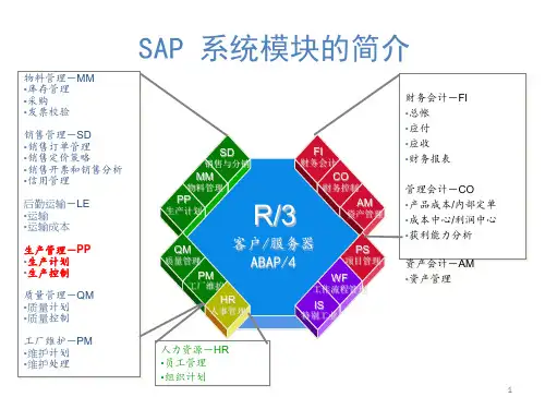 SAP基本介绍ppt课件
