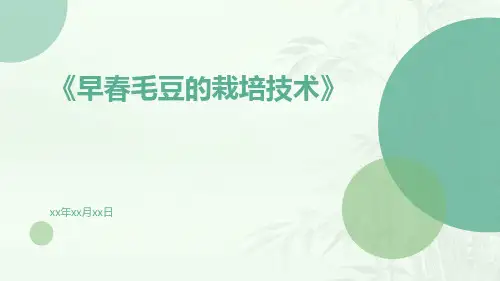 早春毛豆的栽培技术