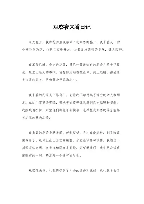 观察夜来香日记