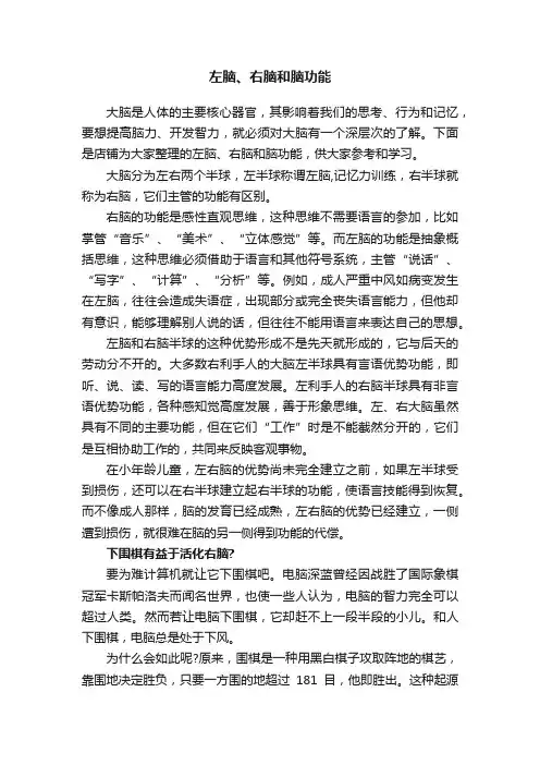 左脑、右脑和脑功能