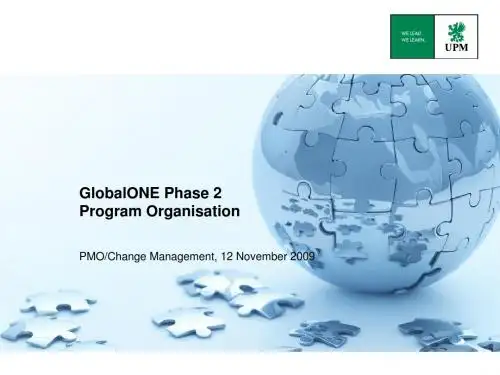 SAP 实施项目模板 英文 PL_PMM_Program_Organisation