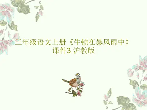 三年级语文上册《牛顿在暴风雨中》课件3 沪教版共22页