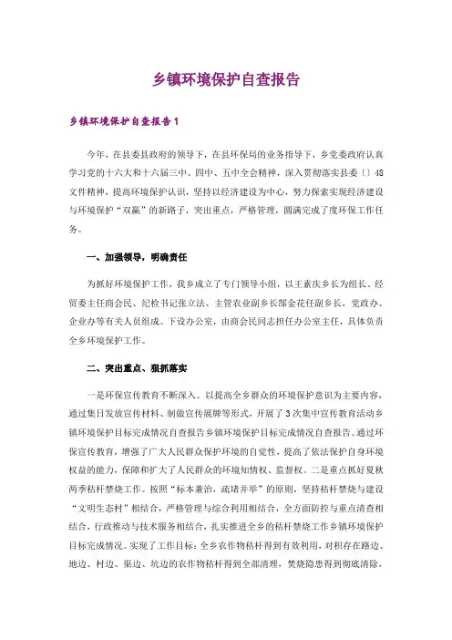 乡镇环境保护自查报告