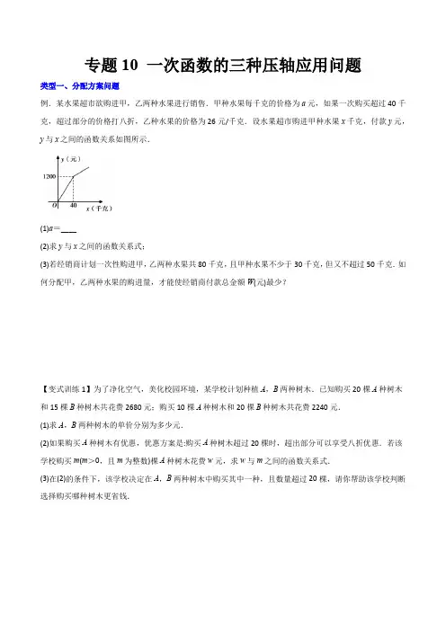 专题10 一次函数的三种压轴应用问题-2023年初中数学8年级下册同步压轴题(学生版)