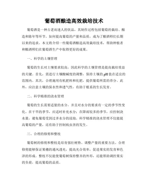 葡萄酒酿造高效栽培技术