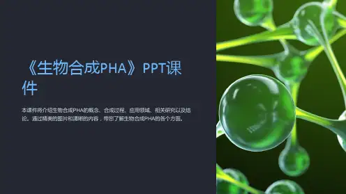 《生物合成PHA》课件