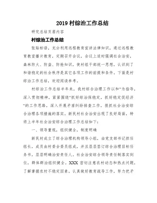 2019村综治工作总结