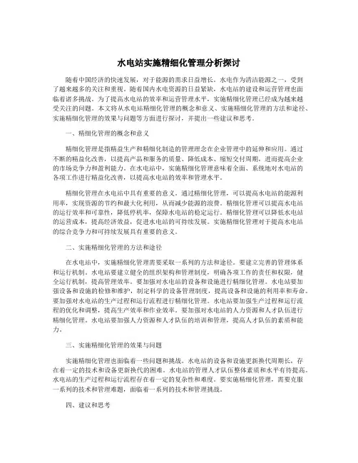 水电站实施精细化管理分析探讨
