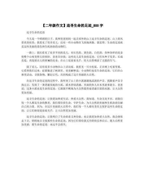 【二年级作文】追寻生命的足迹_800字