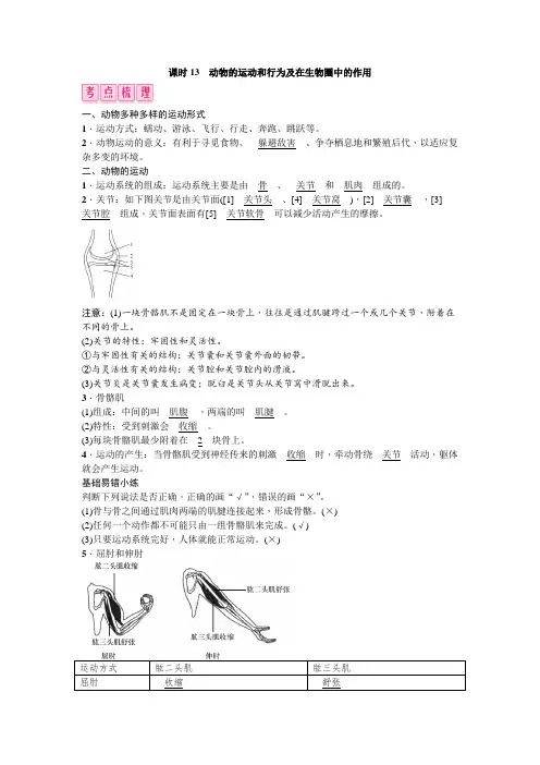 课时13 动物的运动和行为及在生物圈中的作用(考点梳理)