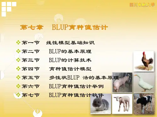 家畜育种学07种畜的遗传评估(三)：BLUP育种值估计