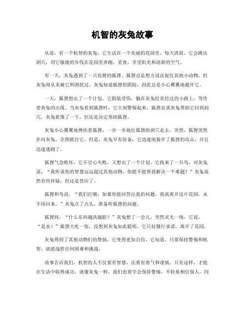 机智的灰兔故事