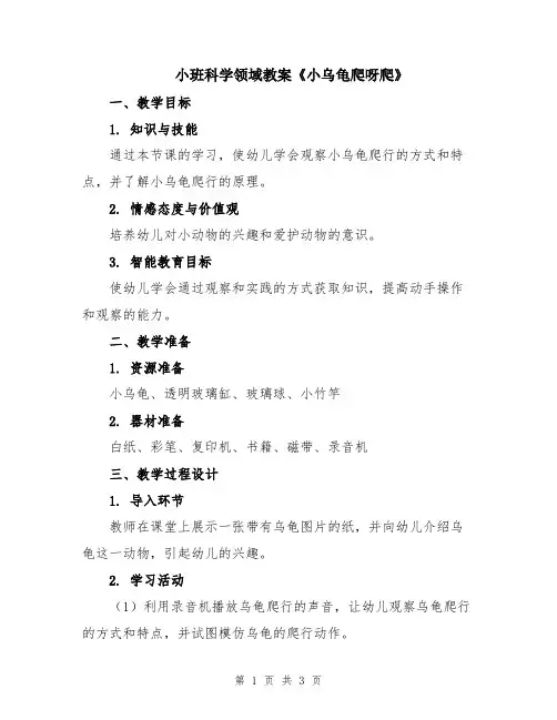 小班科学领域教案《小乌龟爬呀爬》