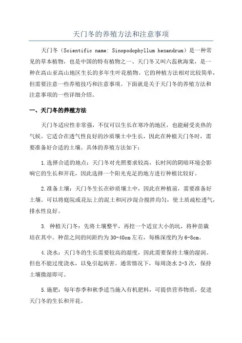 天门冬的养殖方法和注意事项