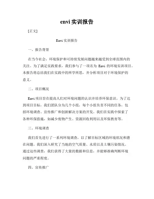 envi实训报告