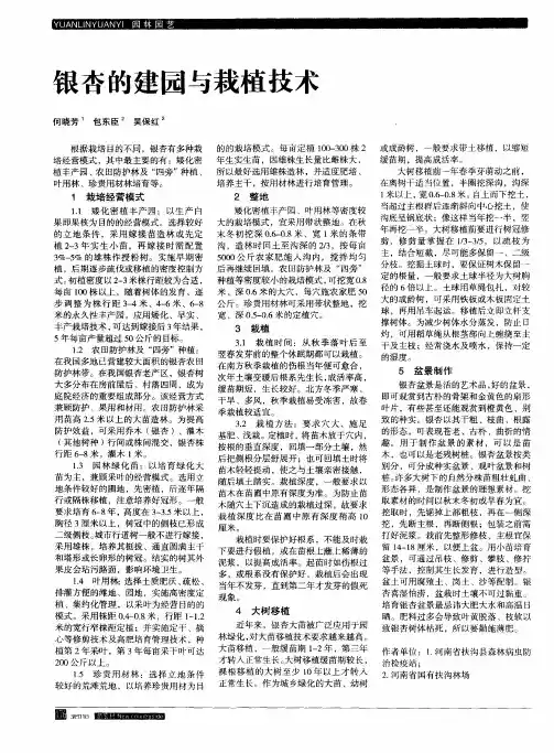 银杏的建园与栽植技术