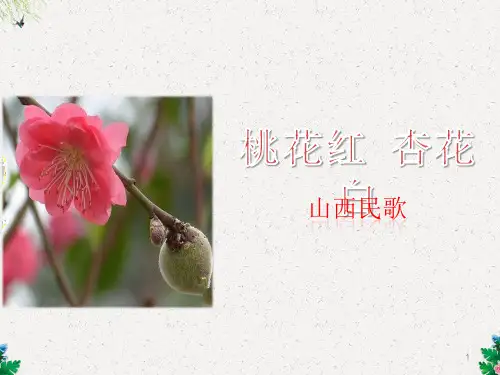 人音版音乐七年级下册第5单元欣赏《桃花红 杏花白》ppt课件