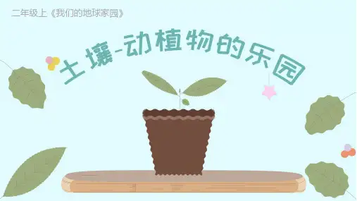 最新教科版二年级科学上册《土壤—动植物的乐园》精品教学课件