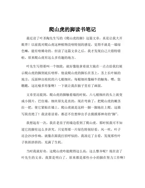 爬山虎的脚读书笔记