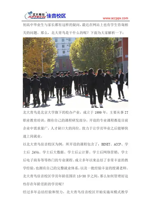 北大青鸟是干什么的
