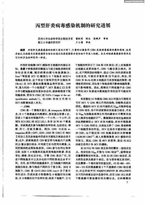 丙型肝炎病毒感染机制的研究进展