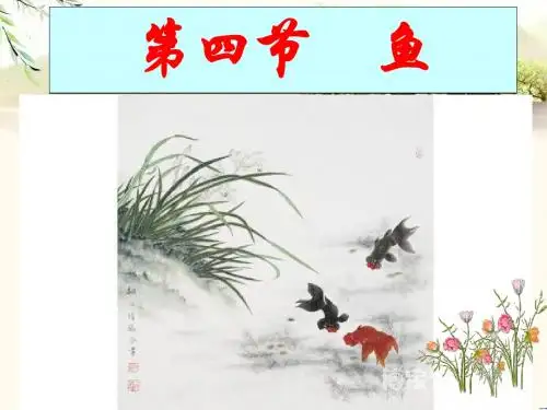 鱼—---初中八年级上册生物