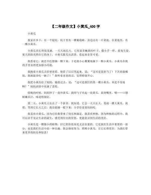 【二年级作文】小黄瓜_400字