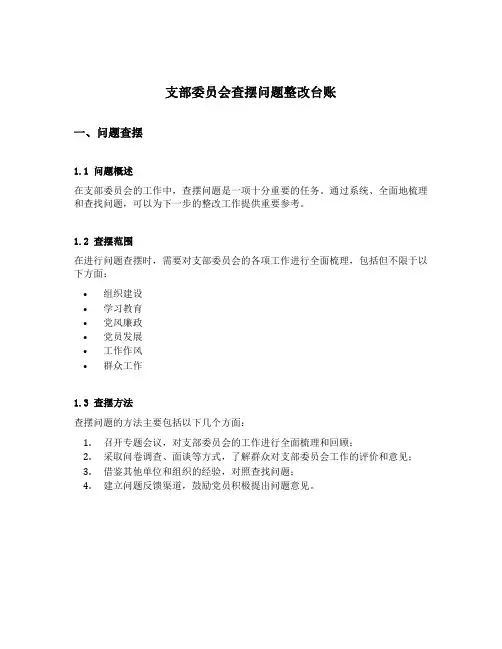 支部委员会查摆问题整改台账
