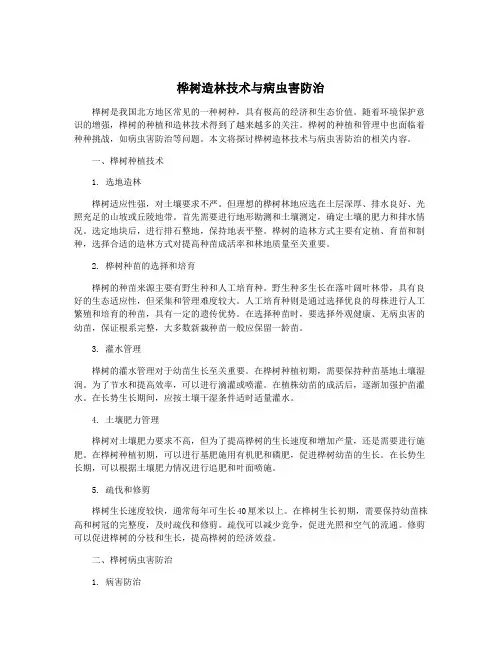 桦树造林技术与病虫害防治