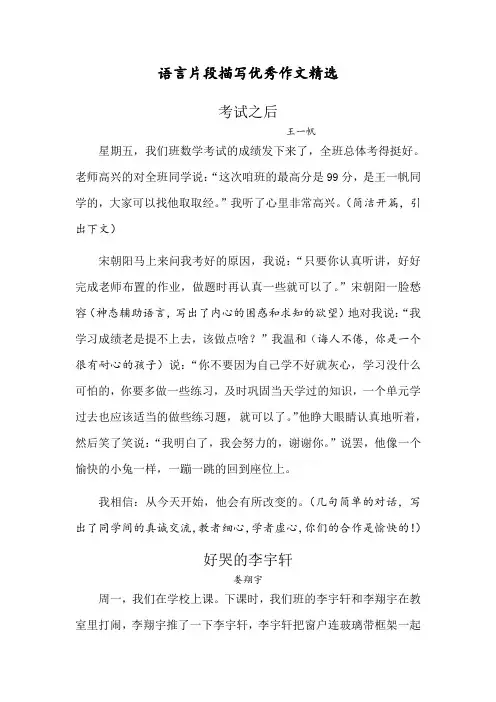 作文指导——语言片段描写优秀作文精选