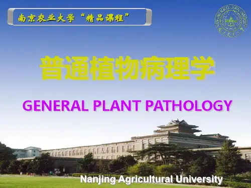 植物抗病性PPT课件