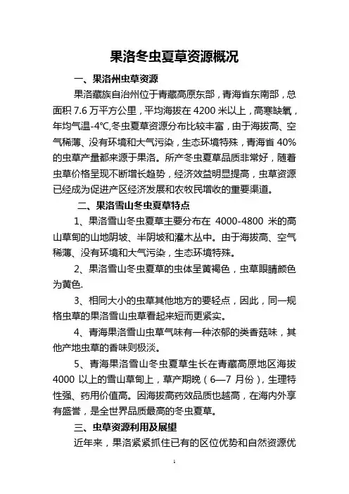 果洛虫草