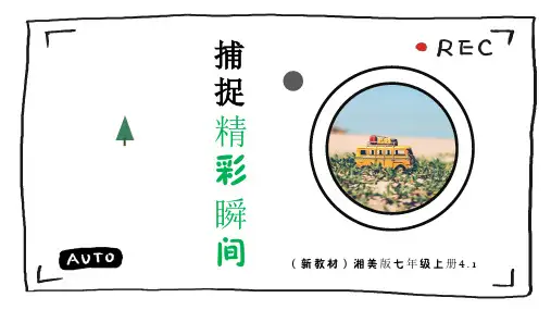(新教材)湘美七上4.1《捕捉精彩瞬间》35页