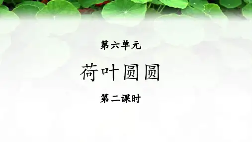 《荷叶圆圆》(第2课时)示范教学PPT课件【部编人教版一年级语文】