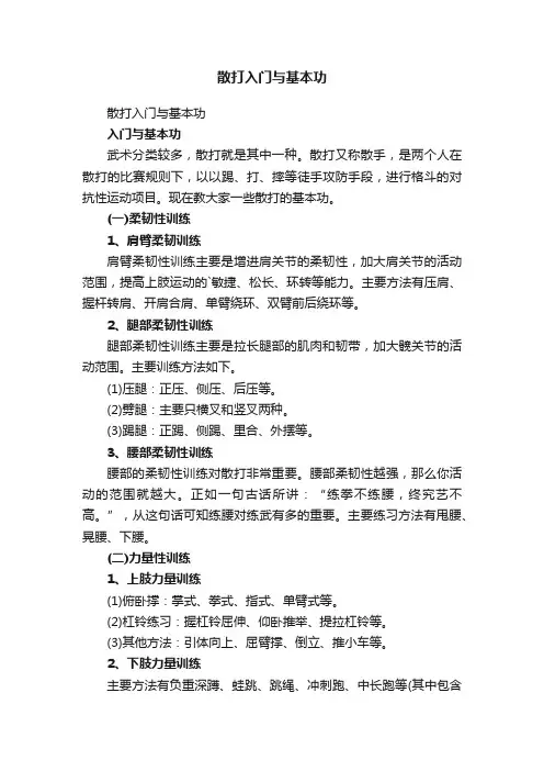 散打入门与基本功